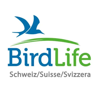 birdlife.ch's icon