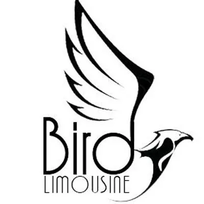 birdlimonj.com's icon