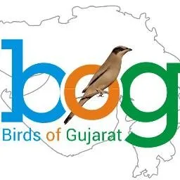 birdsofgujarat.co.in's icon