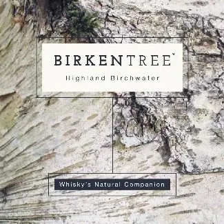birkentree.com's icon