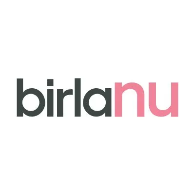 birlanu.com's icon