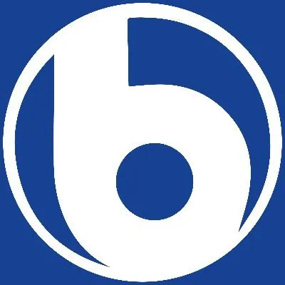 birosgb.com's icon