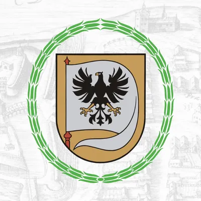 birzai.lt's icon