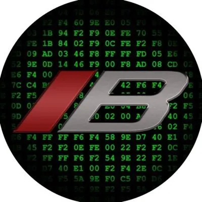 bischeperformance.com's icon
