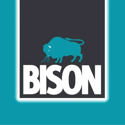 bison.nl's icon