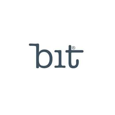 bit.lv's icon