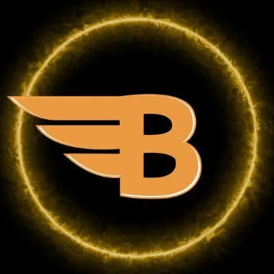 bitangels.network's icon