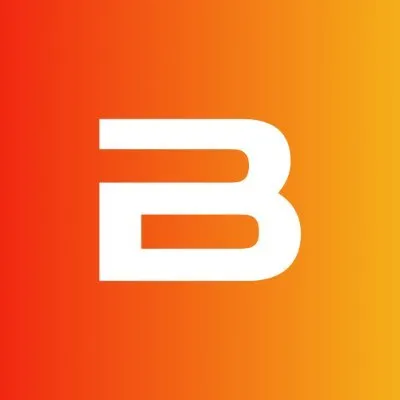 bitcoinsensus.com's icon