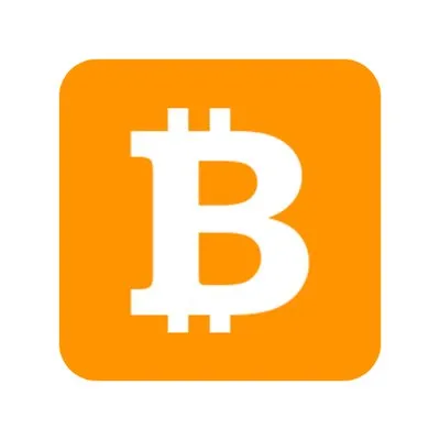 bitcoinwide.com's icon
