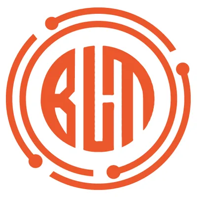 bitlinkstech.com's icon