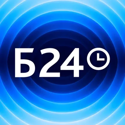 bitrix24.kz's icon
