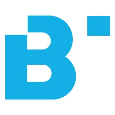 bitsgroup.com.au's icon