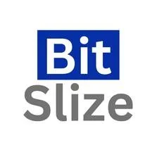 bitslize.com's icon