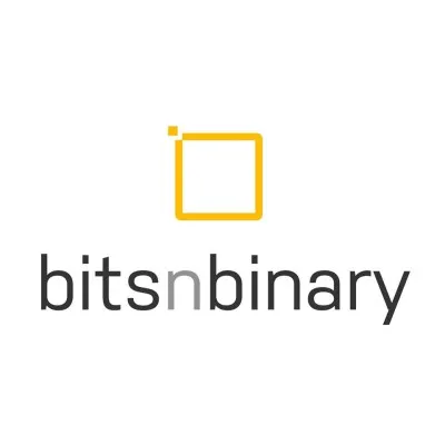 bitsnbinary.com's icon