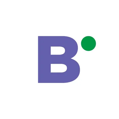 bivision.ge's icon