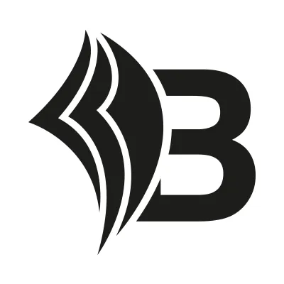 bizapedia.com's icon