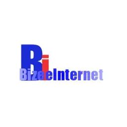 BizeeInternet's icon