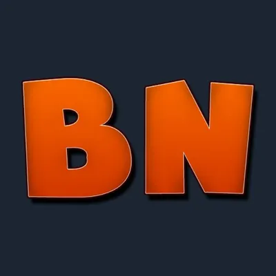 bizimnet.com's icon