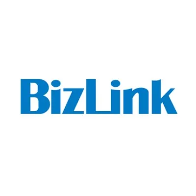 bizlinktech.com's icon