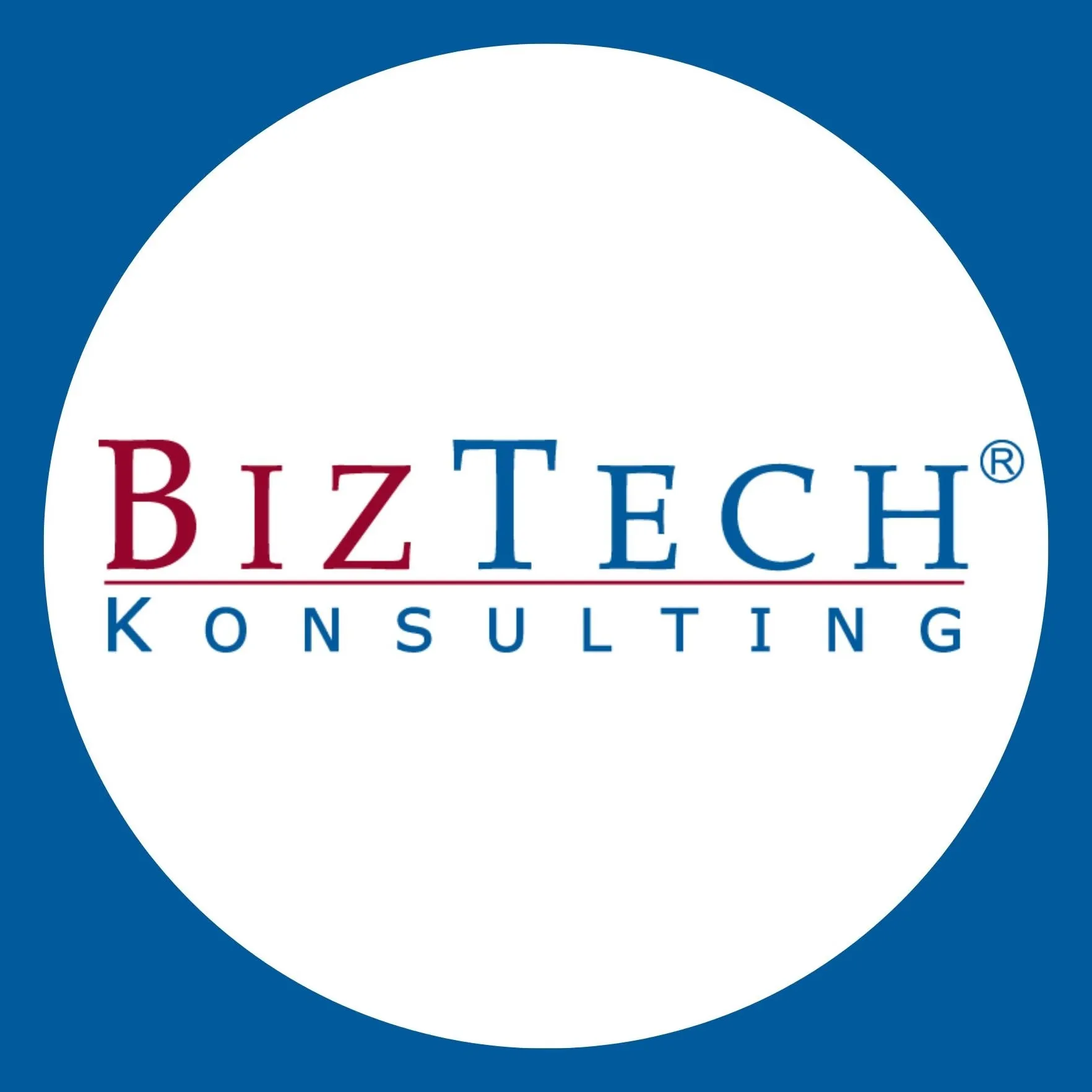 Biztech Konsulting S.A.