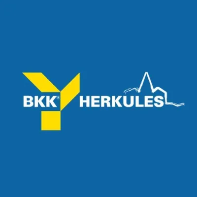 bkk-herkules.de's icon