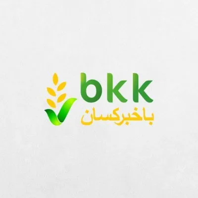 bkk.ag's icon