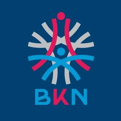 bkn.go.id's icon