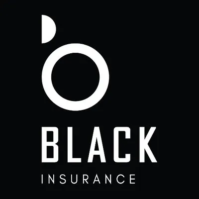 black.insure's icon
