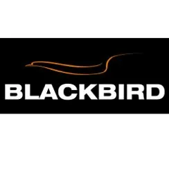 blackbird.pt's icon