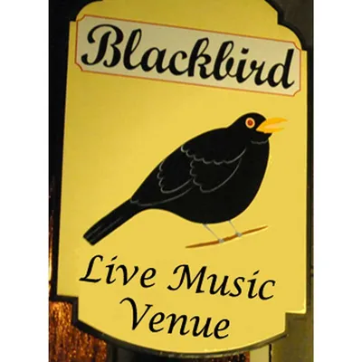 blackbirdballycotton.com's icon