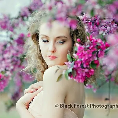 blackforestphoto.com's icon