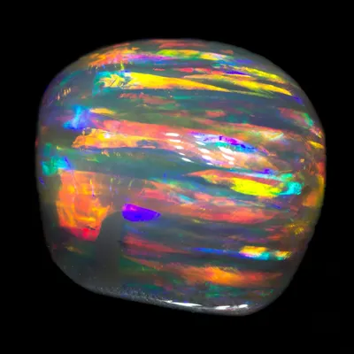 blackopaldirect.com's icon