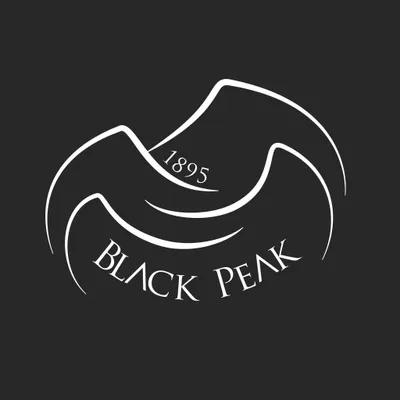blackpeak1895.com's icon