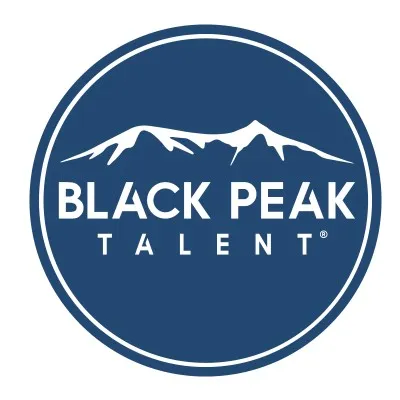 blackpeaktechnologies.com's icon
