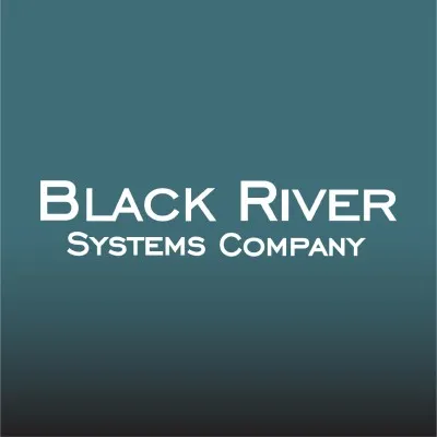 blackriversystems.com's icon