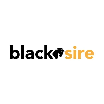 Blacksire's icon