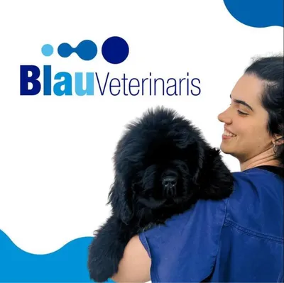 blauveterinaris.com's icon