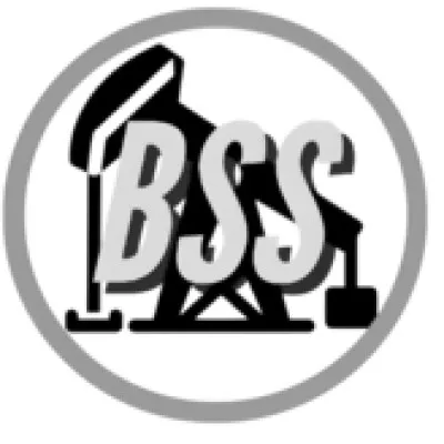 blazess.com's icon