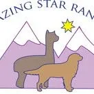 blazingstarranch.com's icon