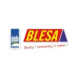 Blesa Bil I Wspólnicy S.K.A.