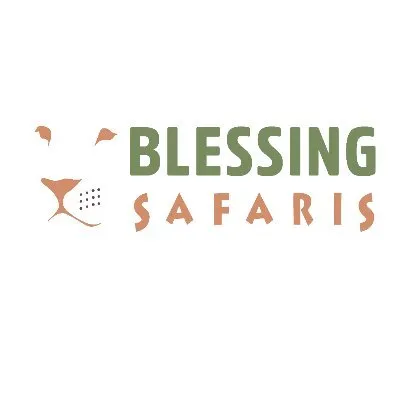 blessingsafaris.com's icon