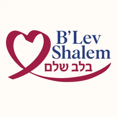 blevshalem.com's icon