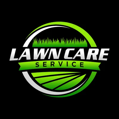 blinnslawncareandjunkremoval.com's icon