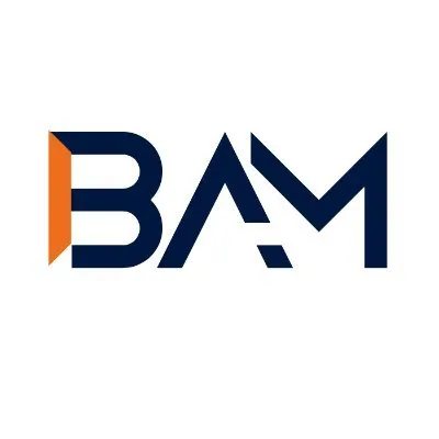 blockassetmanagement.com's icon