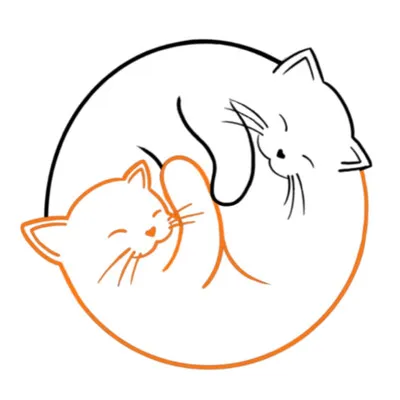 blockjaneltd.com's icon