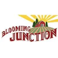 bloomingjunction.com's icon