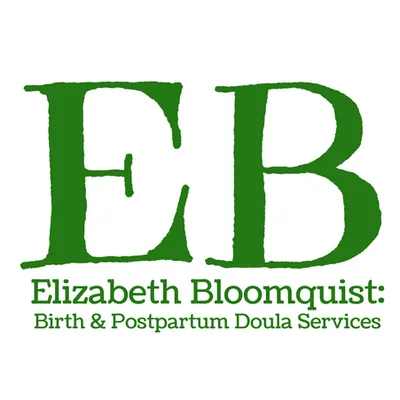 bloomquistashevilledoula.com's icon