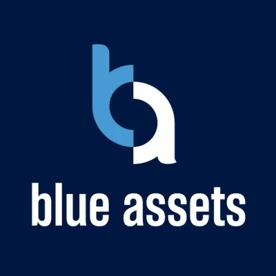 blue-assets.com's icon