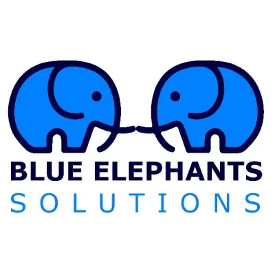 blue-elephants-solutions.com's icon