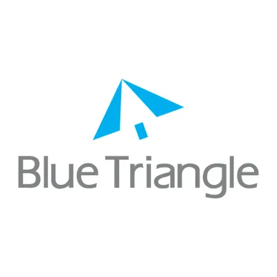 Blue Triangle's icon